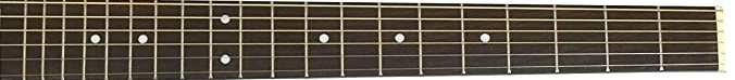 Epiphone DR-100 fretboard 