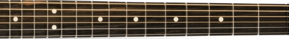Fender American Acoustasonic Telecaster fretboard 