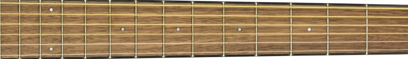 Fender CD-140SCE fretboard 