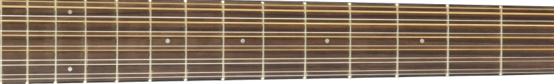 Fender CD-60SCE 12-String fretboard 