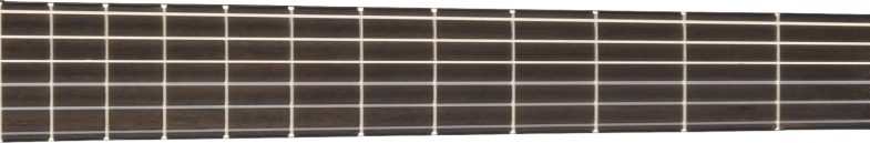 Fender CN-140SCE fretboard 