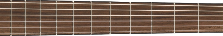 Fender CN-60S fretboard 