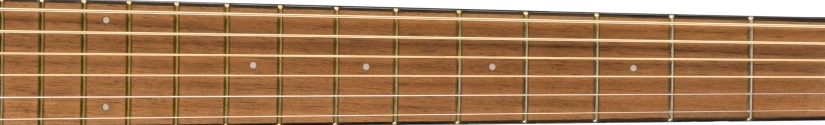 Fender CP-60S fretboard 