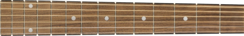 Fender FA-125 fretboard 