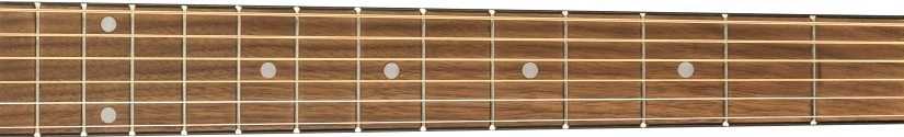 Fender FA-125CE fretboard 