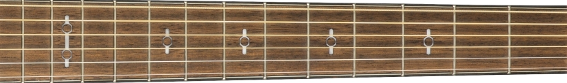 Fender FA-345CE fretboard 