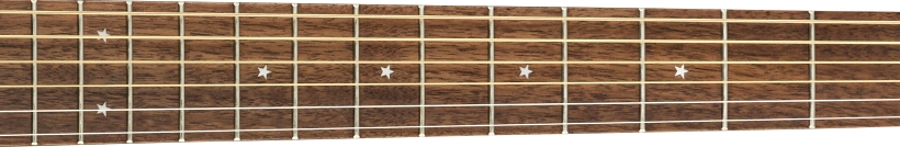 Fender Joe Strummer Campfire Acoustic fretboard 