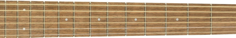 Fender Malibu Player fretboard 