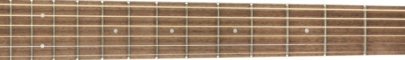 Fender Newporter Player fretboard 