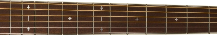 Fender PD-220E fretboard 