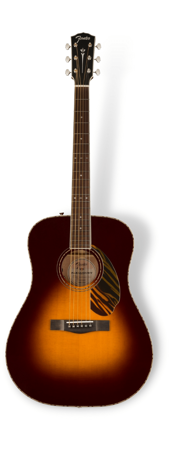 Fender PD-220E full guitar image