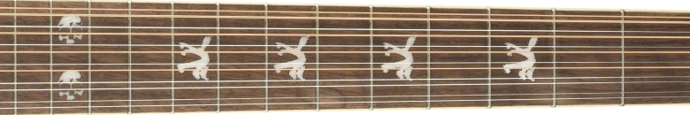 Fender Tim Armstrong Hellcat-12 String fretboard 