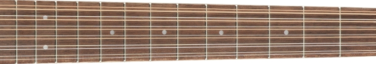 Fender Villager 12-String fretboard 