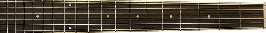 Ibanez PN15 fretboard 