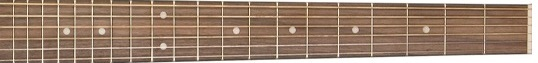 Jasmine S35 fretboard 