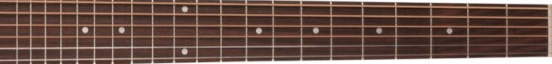 Seagull S6 fretboard 