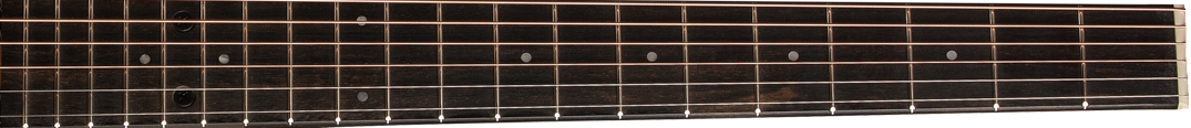 Taylor BBT-Big-Baby fretboard 