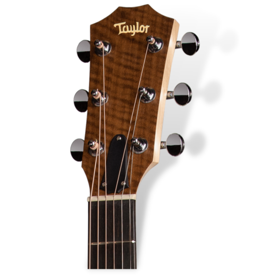 Taylor BBT-Big-Baby headstock