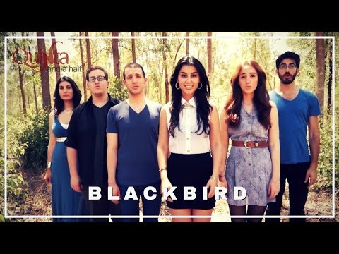 Quinta.5 - Blackbird (The Beatles Cover)