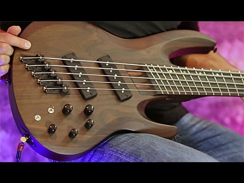 Review Demo - ESP LTD B-1005SE 5-String Bass