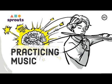 Effective Practice of Musical Instruments