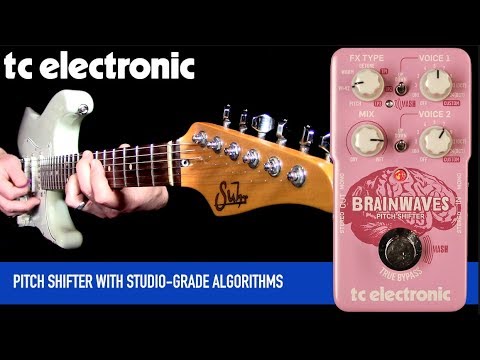 TC ELECTRONIC BRAINWAVES PITCH SHIFTER