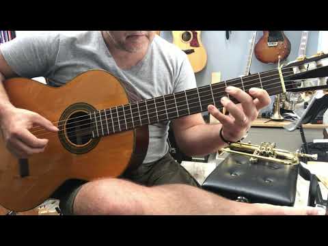 Washburn C80S Classical Guitar Demo