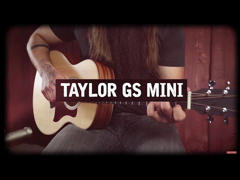 Taylor GS Mini Review