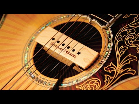 Woody Acoustic Pickups