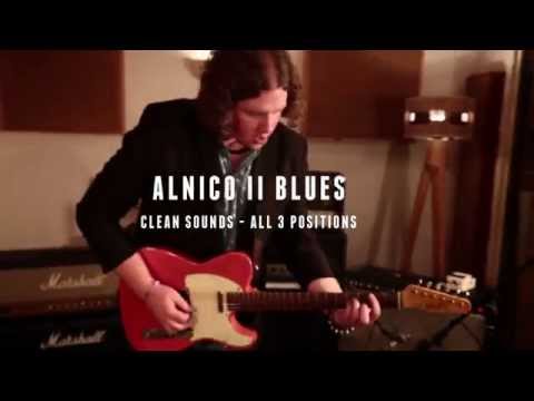 Tonerider Alnico II Blues for Tele TRT3 - Clean Sounds