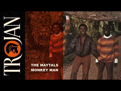 The Maytals &#039;Monkey Man&#039; (official audio)
