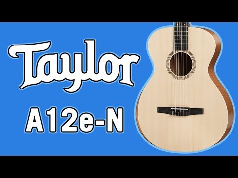 Taylor Academy 12e-N Review &amp; Demo