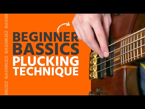 Basic Bass Plucking Technique (Beginner Bass Basics)