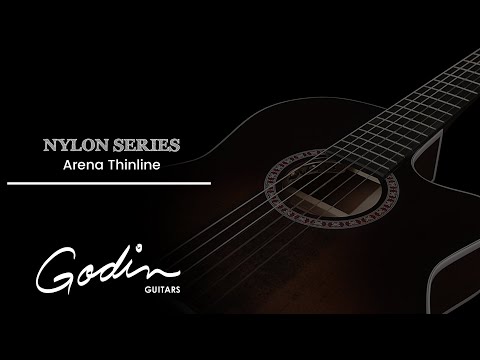 Godin Arena Series