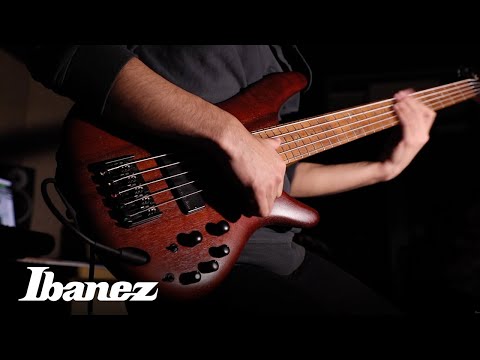 Ibanez SR500 Series Electric Bass