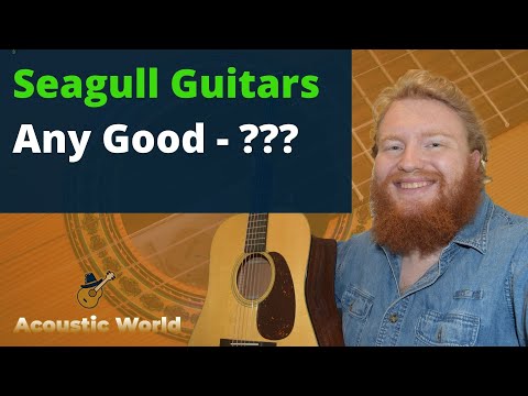 Are Seagull Guitars Good? Guide &amp; FAQ