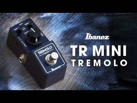 Ibanez TRMINI with Lee Wrathe