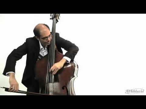 D&#039;Addario Zyex Bass String Set, 3/4 Scale, Medium Tension Reviews