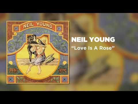 Neil Young - Love Is A Rose (Official Audio)
