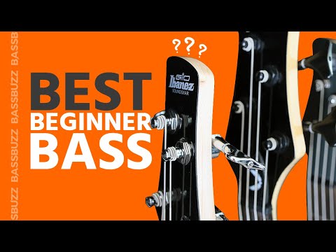 Best Beginner Bass (Group Review)
