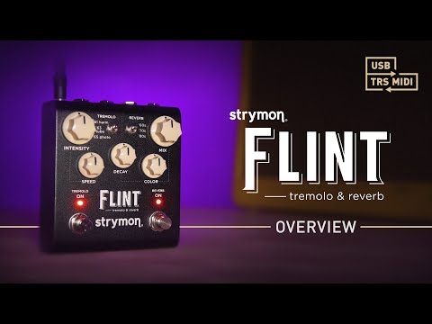 Strymon Flint V.2 – Tremolo &amp; Reverb – Intro