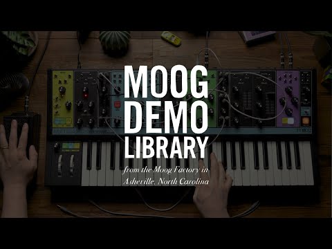 EP-3 Expression Pedal | Stereo Filter Modulation