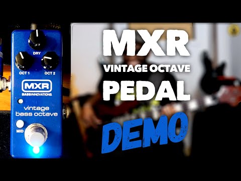 MXR Mini Vintage Octave Bass Pedal Demo ~ Daric&#039;s Bass Lessons