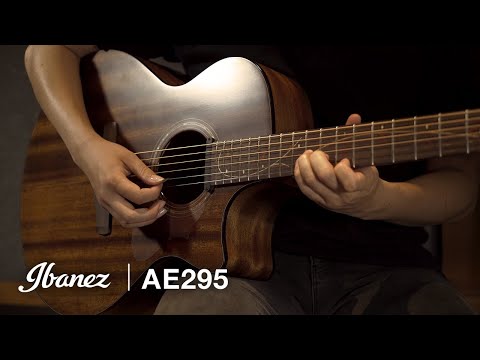 Ibanez AE295 Acoustic Guitar