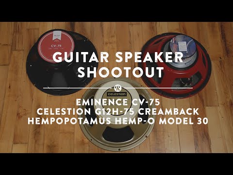 12&quot; Guitar Speaker Shootout | Reverb Demo Video