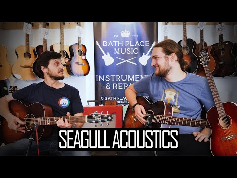 Seagull Acoustic Guitars - Amazing Value, Amazing Sound!