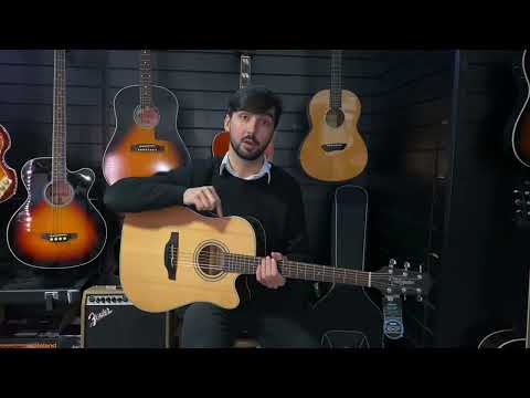 Takamine GD20CE-NS Electro-Acoustic Guitar | Demonstration &amp; Tones with Mike
