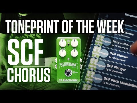 TonePrint of the Week #3 - SCF Chorus for Corona Chorus