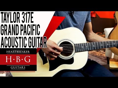 Taylor 317e Grand Pacific Acoustic Guitar Demo