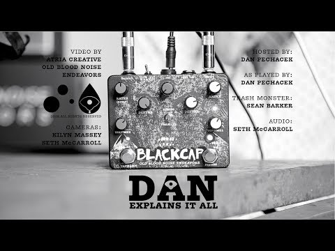Dan Explains It All - Blackcap